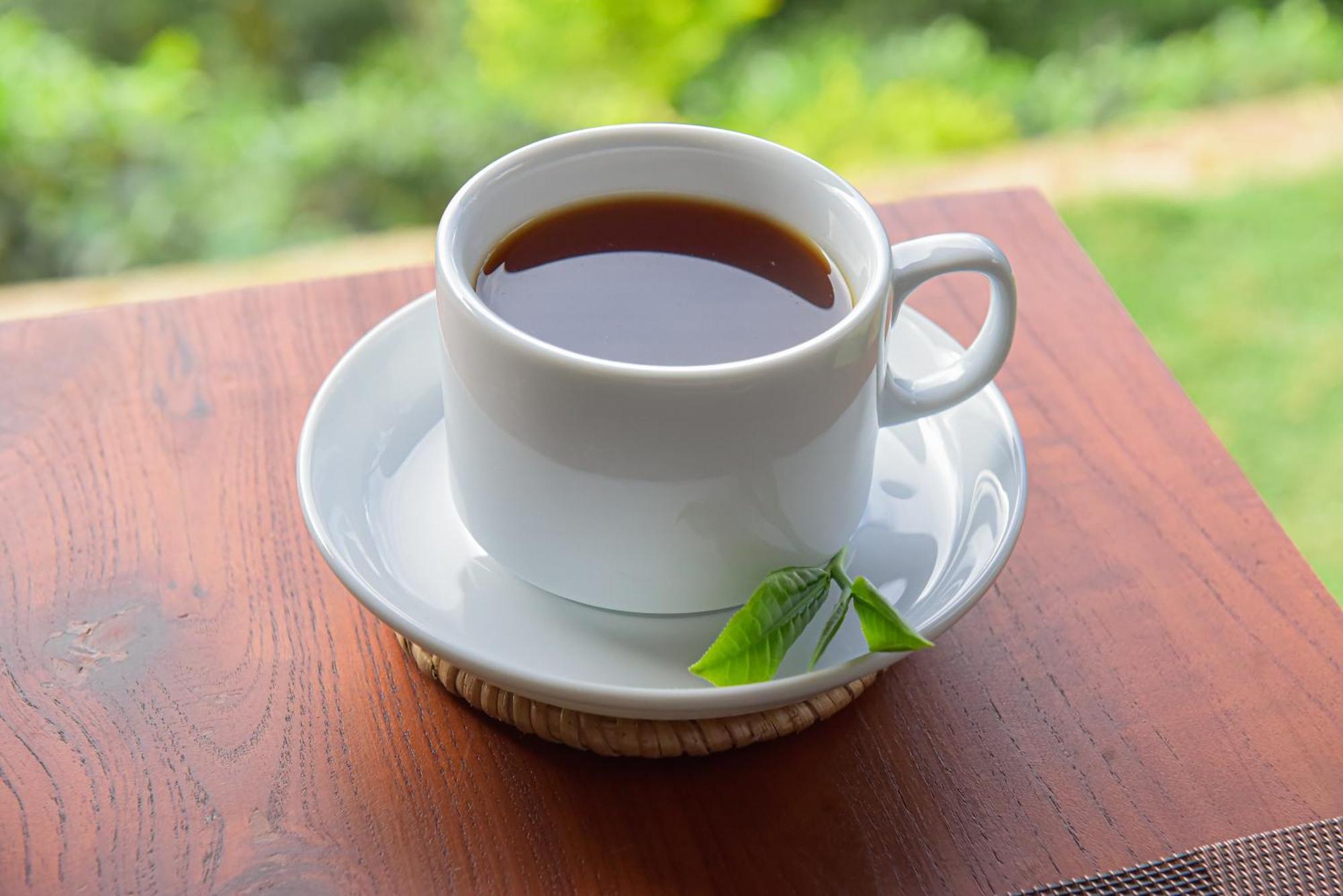 Tea Hills Ella Ξενοδοχείο Εξωτερικό φωτογραφία